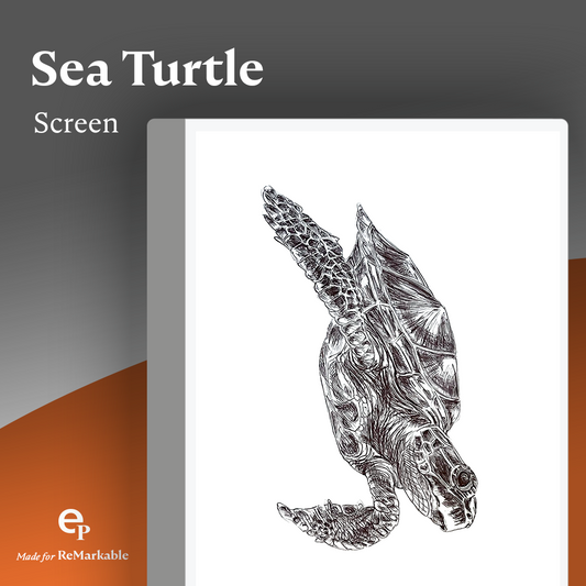 Sea Turtle Screen